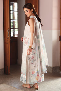 NOOR