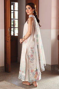NOOR