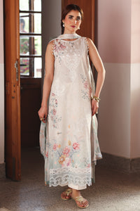 NOOR